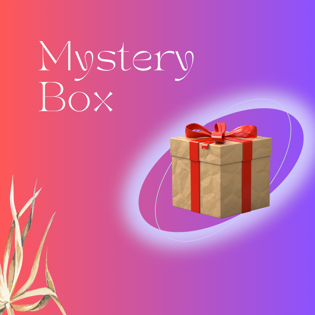 Mystery Boxes